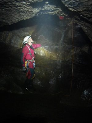 Lee looking up the Second Pitch