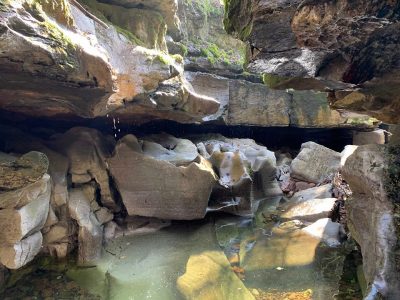 Nedd Fechan Gorge