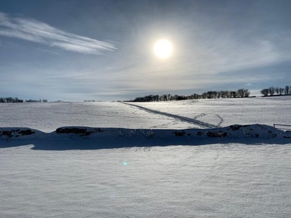 Winter Wonderland on Mendip